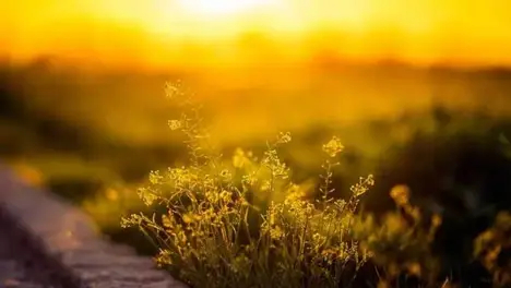 LCK季后赛：Faker中单蛮王回归！T1惊险翻盘，Keria锤石神钩定胜局